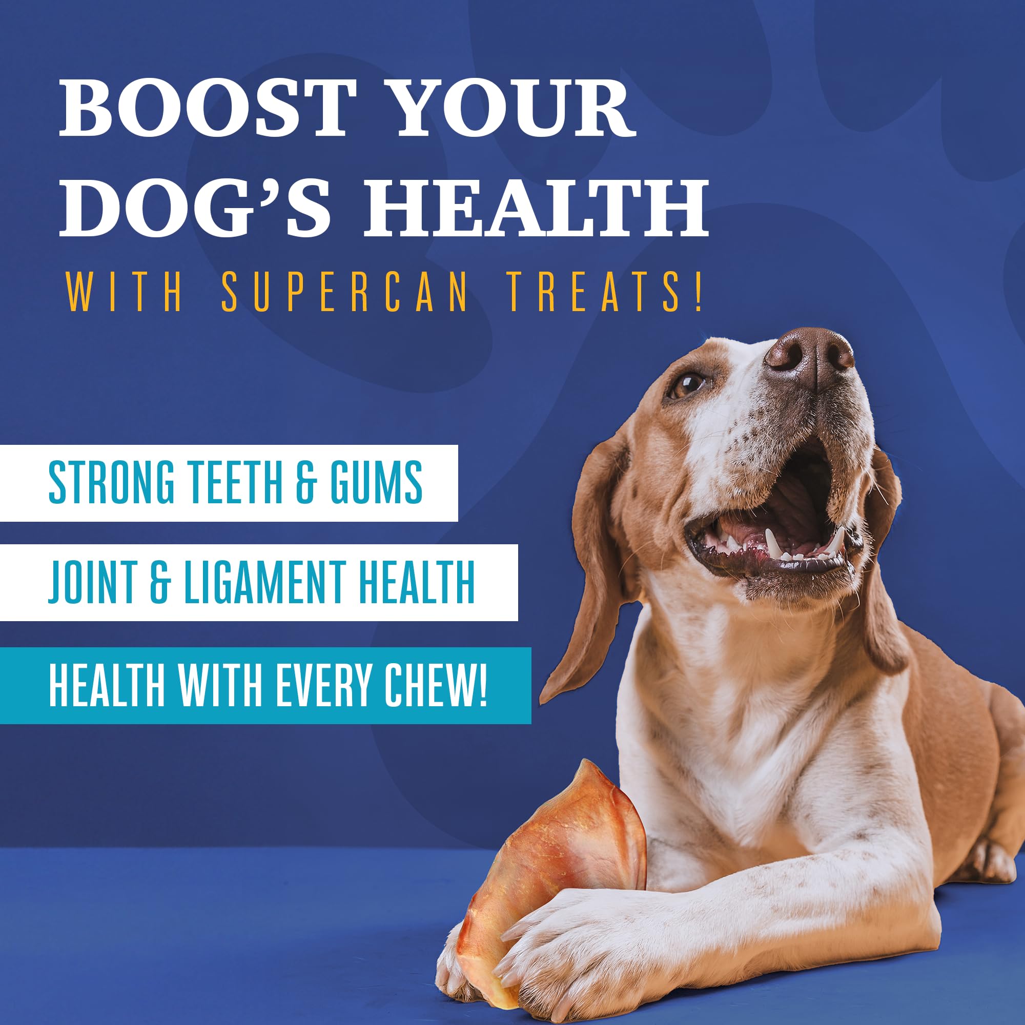 Super Can Bullysticks Mega Mix pig ear chew highlights protein-rich snack for dogs.
