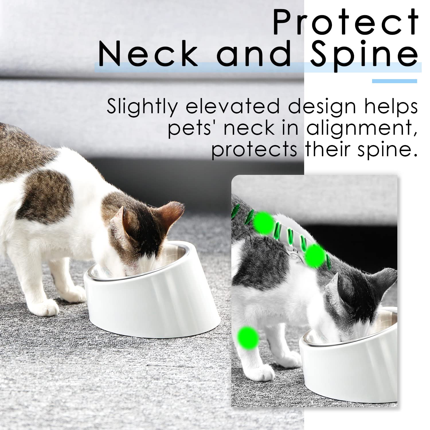 SuperDesign medium-size bowl fits dogs and cats around 6.6–19.8 lbs.