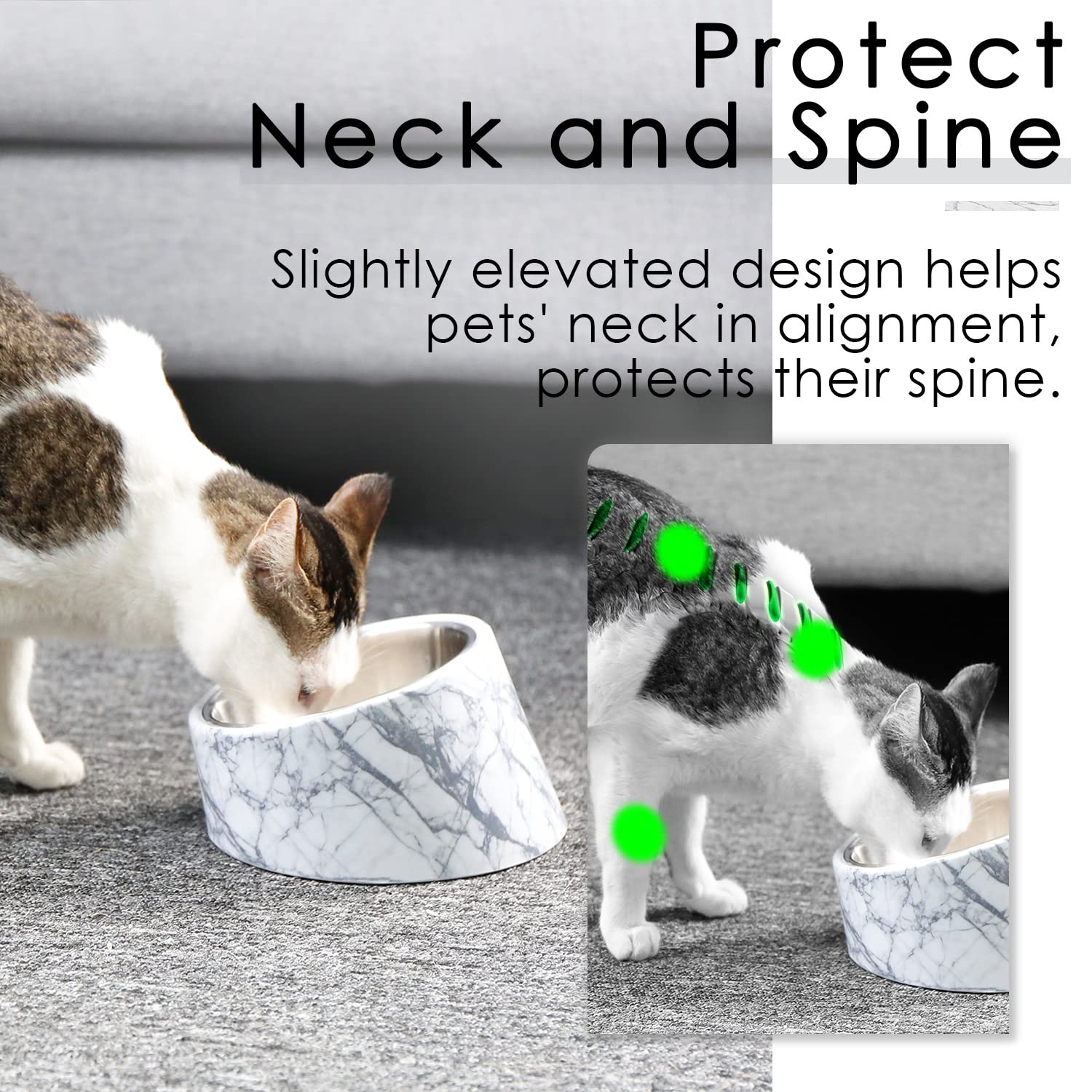 SuperDesign non-slip raised dog bowl on stable base