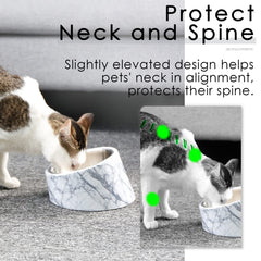 SuperDesign non-slip raised dog bowl on stable base
