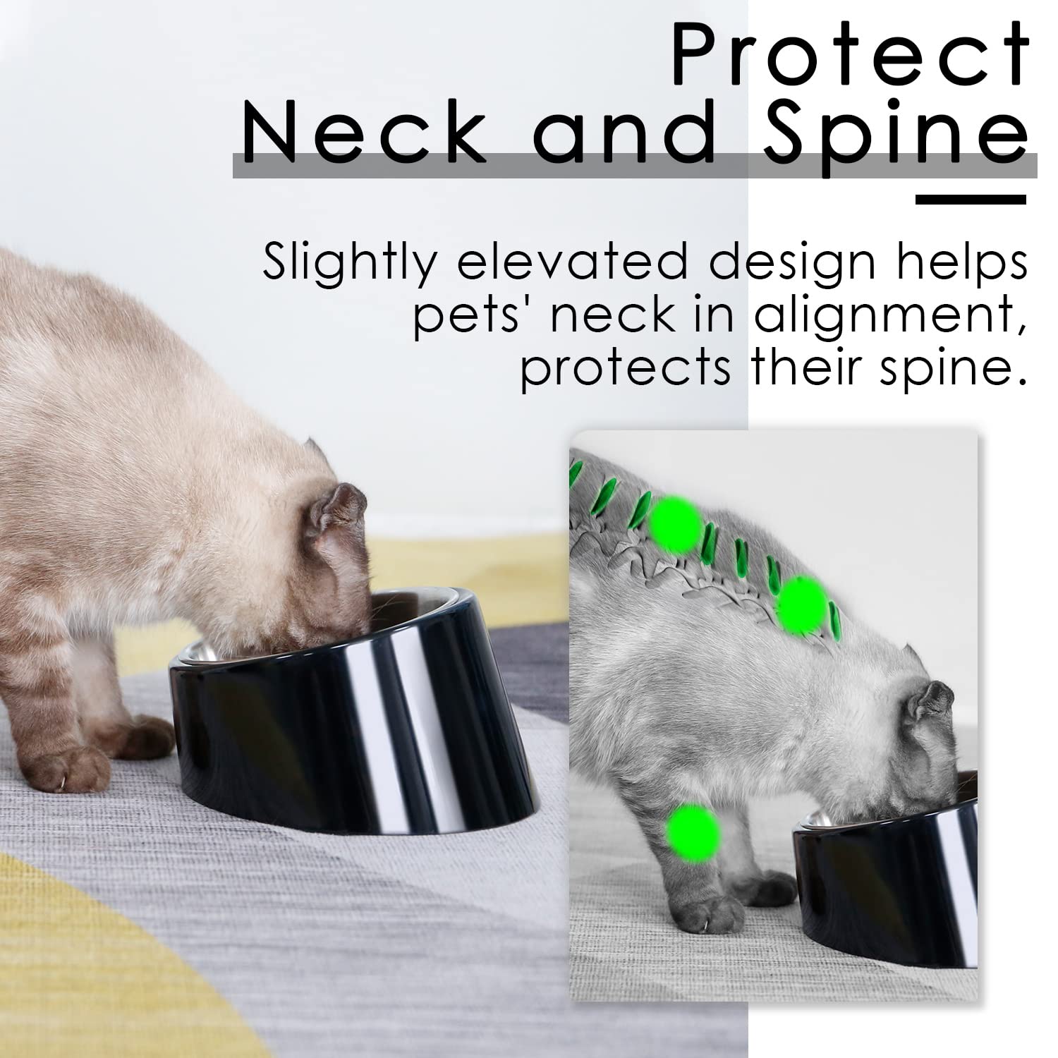 Super Design non-slip base keeps pet feeder steady during meals.