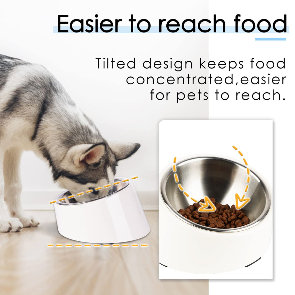 SuperDesign nonspill-edge bowl keeps feeding area clean during meals.