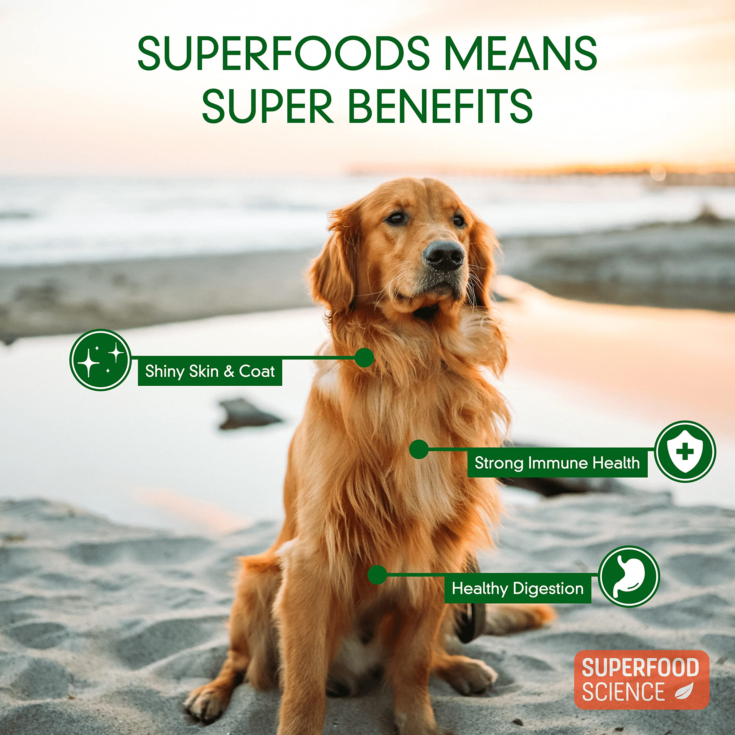 Aceite de coco de Superfood Science, podría contribuir a un pelaje brillante.