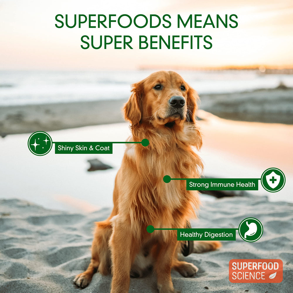Aceite de coco de Superfood Science, podría contribuir a un pelaje brillante.