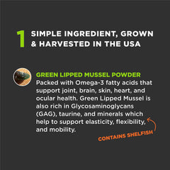 Super Snouts Green Lipped Mussel ingredient close-up highlights natural nutrition for joints.