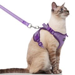 Supet cat harness purple closeup shows secure fit for confident outdoor walks.