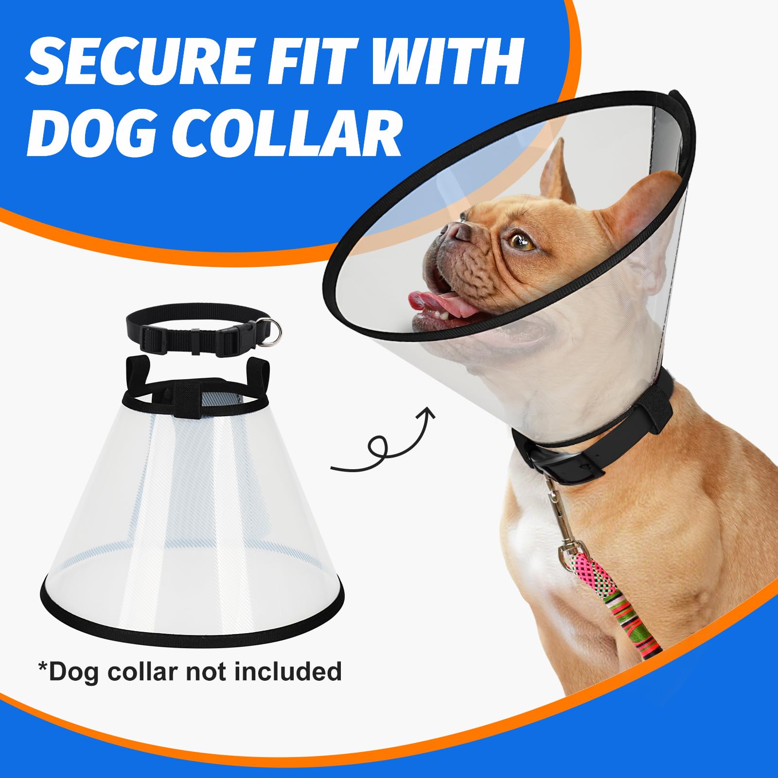 Supet dog cone collar worn by a dog during daily activities.