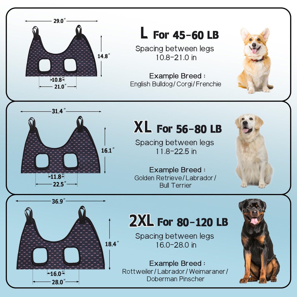 Supet dog grooming setup shows pole attachment for quick, hands-free use.