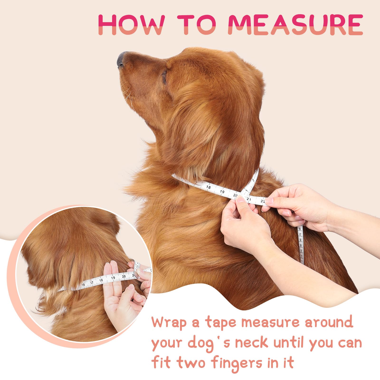 Supet-donut-cone-after-surgery scene shows gentle protection and calm pet.