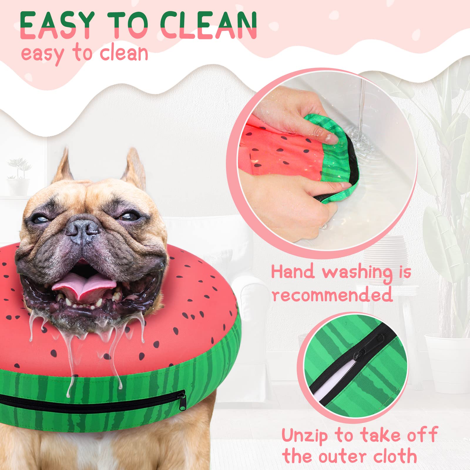 Supet inflatable dog cone acclimation at home shows dog wearing the donut collar calmly.
