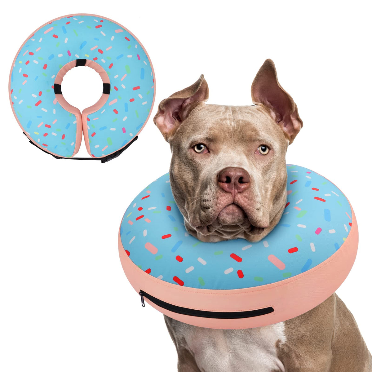 Supet inflatable donut collar around dog's neck for gentle recovery support.