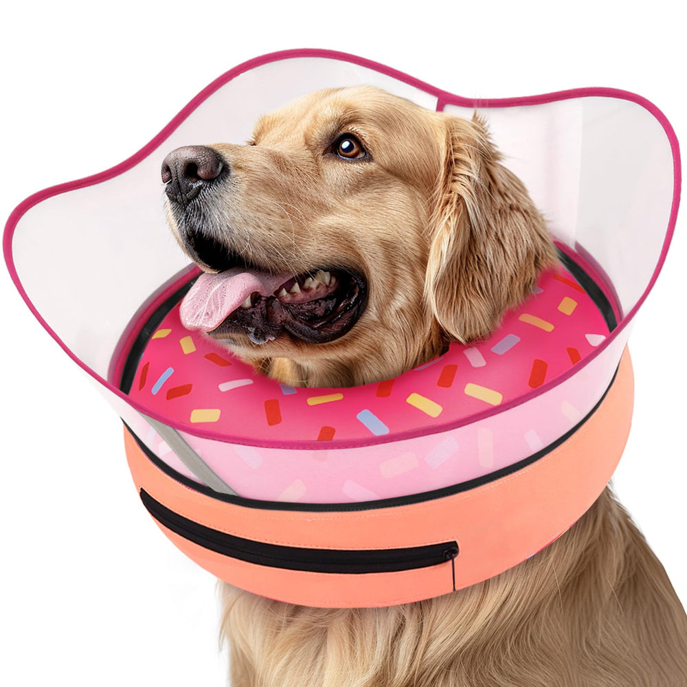 Supet raised inflatable dog cone with donut design on a calm dog for comfortable recovery.