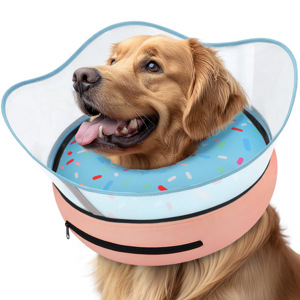 Supet raised inflatable dog cone with detachable shield for safer recovery.