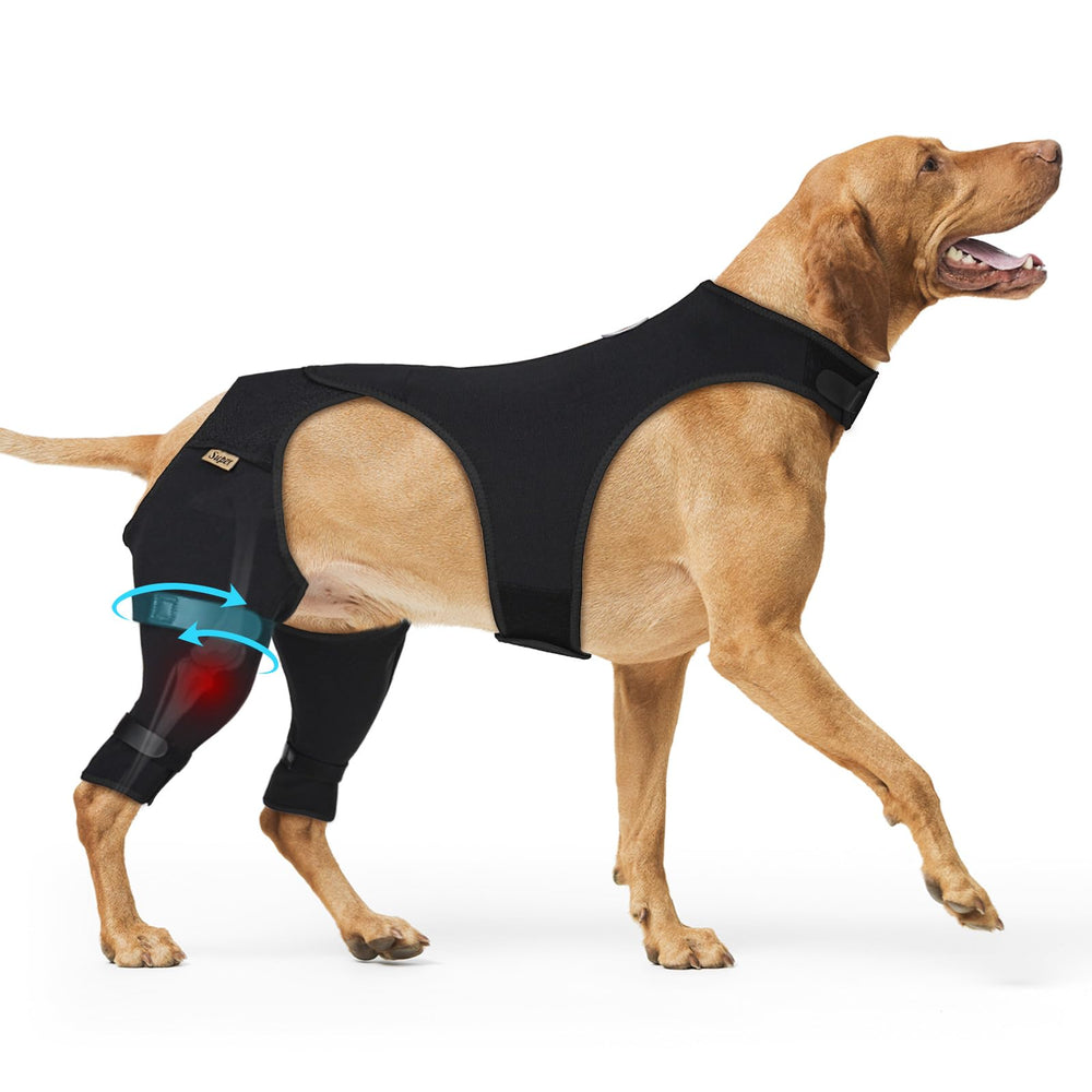 Supet recovery sleeve on a dog's rear leg for secure healing and protection