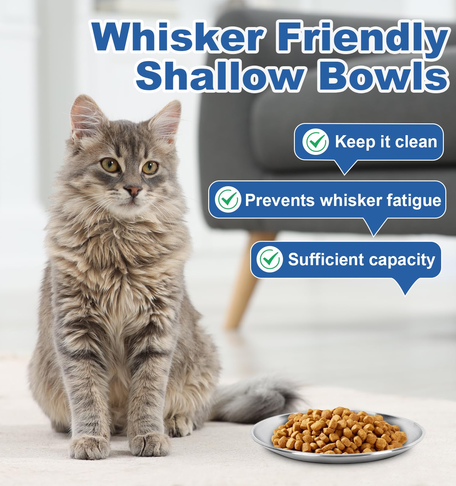 Supet stainless steel cat bowls with non-slip base stay quiet and steady during meals.