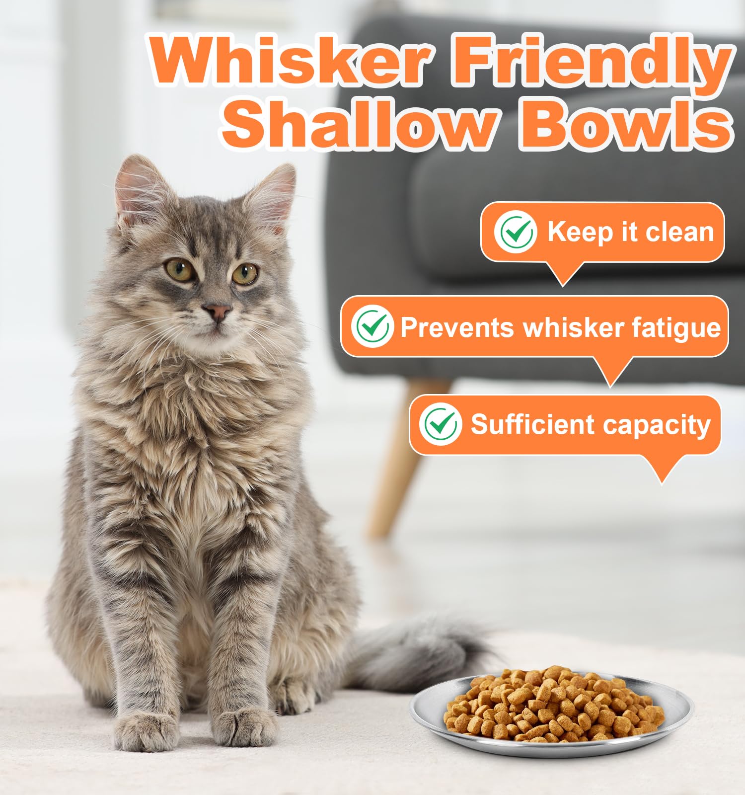 Supet whisker-friendly cat plates flat wide dish in stainless steel for durability.
