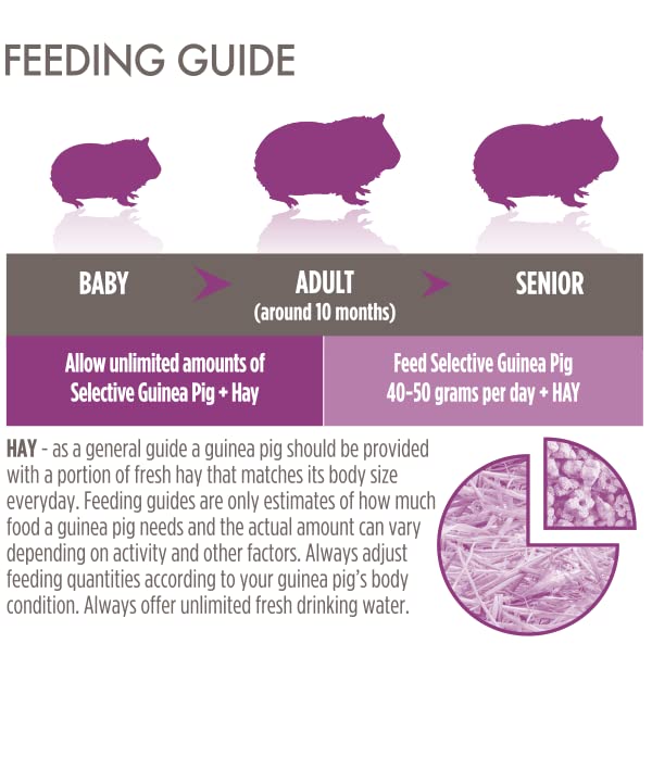 Supreme Petfoods Science Selective Guinea Pig aroma and kibble close-up invite a confident nibble.