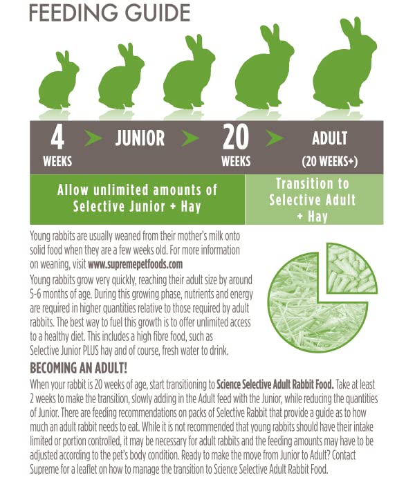 High-fiber formula from Supreme Petfoods supports dental and digestion