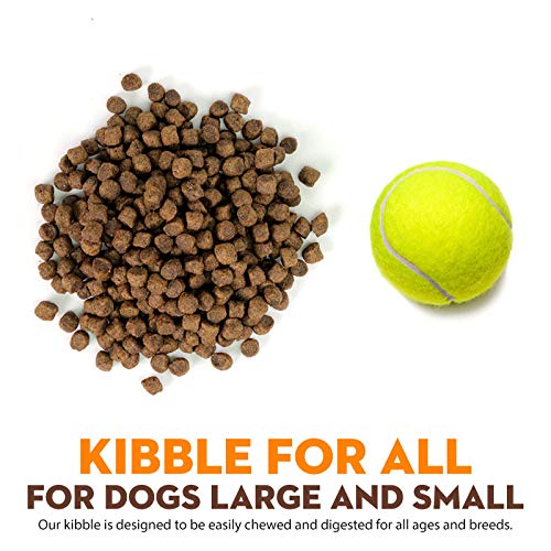 Serving bowl filled with Supreme Source kibble ready to feed.