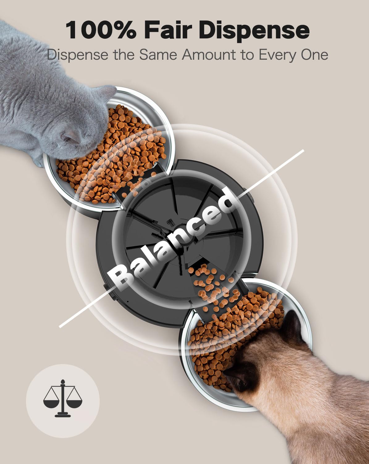 Surdy two-cat meals visualizes simultaneous feeding with SURDY.