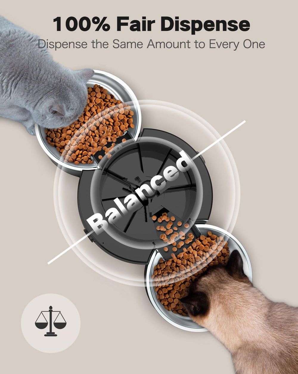 Surdy two-cat meals visualizes simultaneous feeding with SURDY.