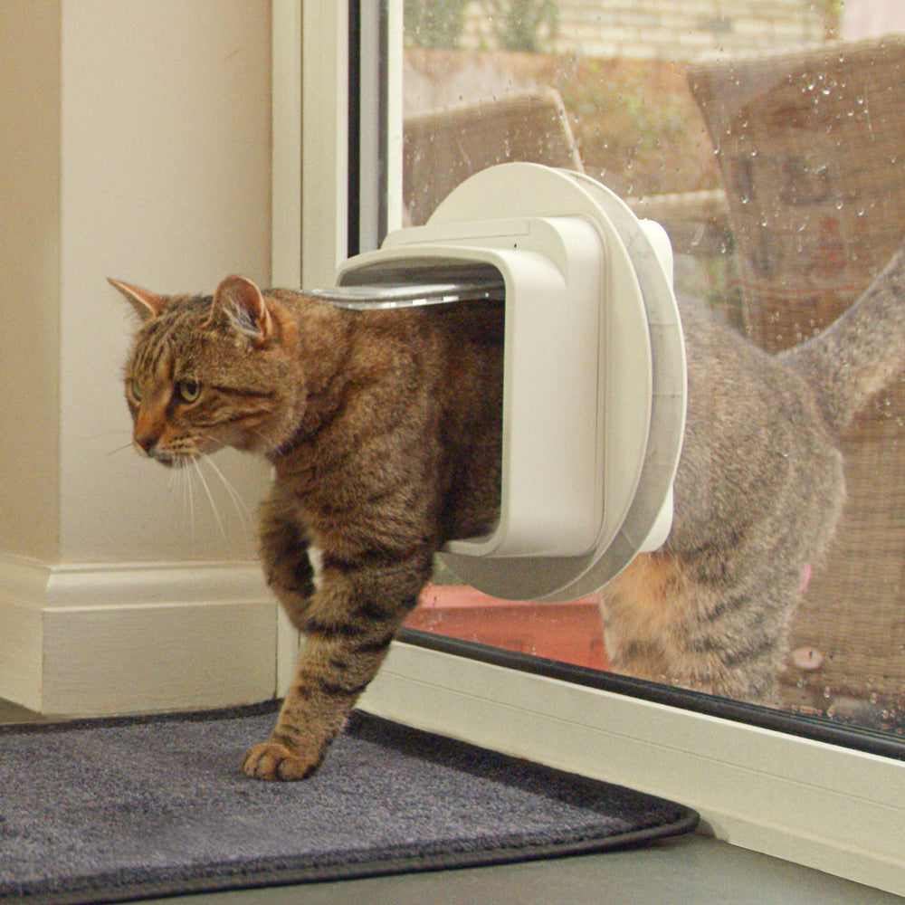 SureFlap cat door installation in doorway shows versatile mounting options.