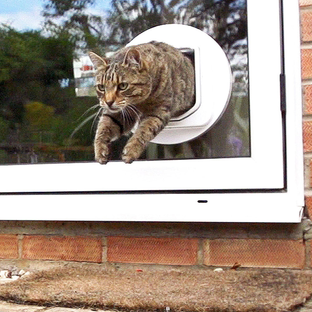 SureFlap DualScan 32-pets programming illustrates multi-cat access control.