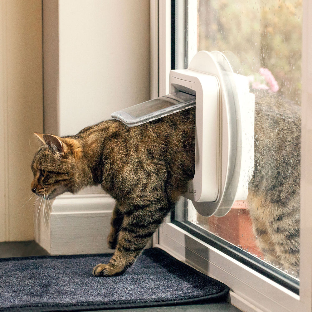 SureFlap Microchip Cat Door reads up to 32 IDs for flexible multi-cat households
