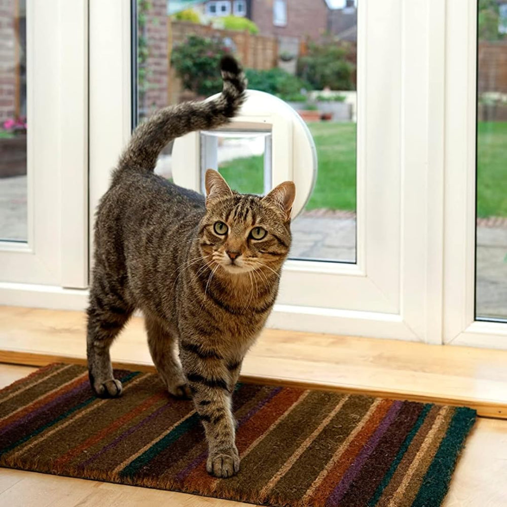 SureFlap id scanner highlights learning your cat's microchip for selective entry