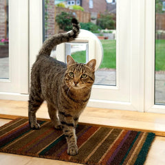 SureFlap id scanner highlights learning your cat's microchip for selective entry