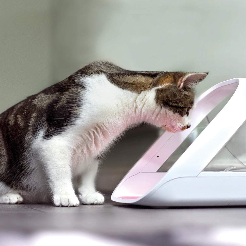 SureFlap feeder with two bowls for wet and dry portions