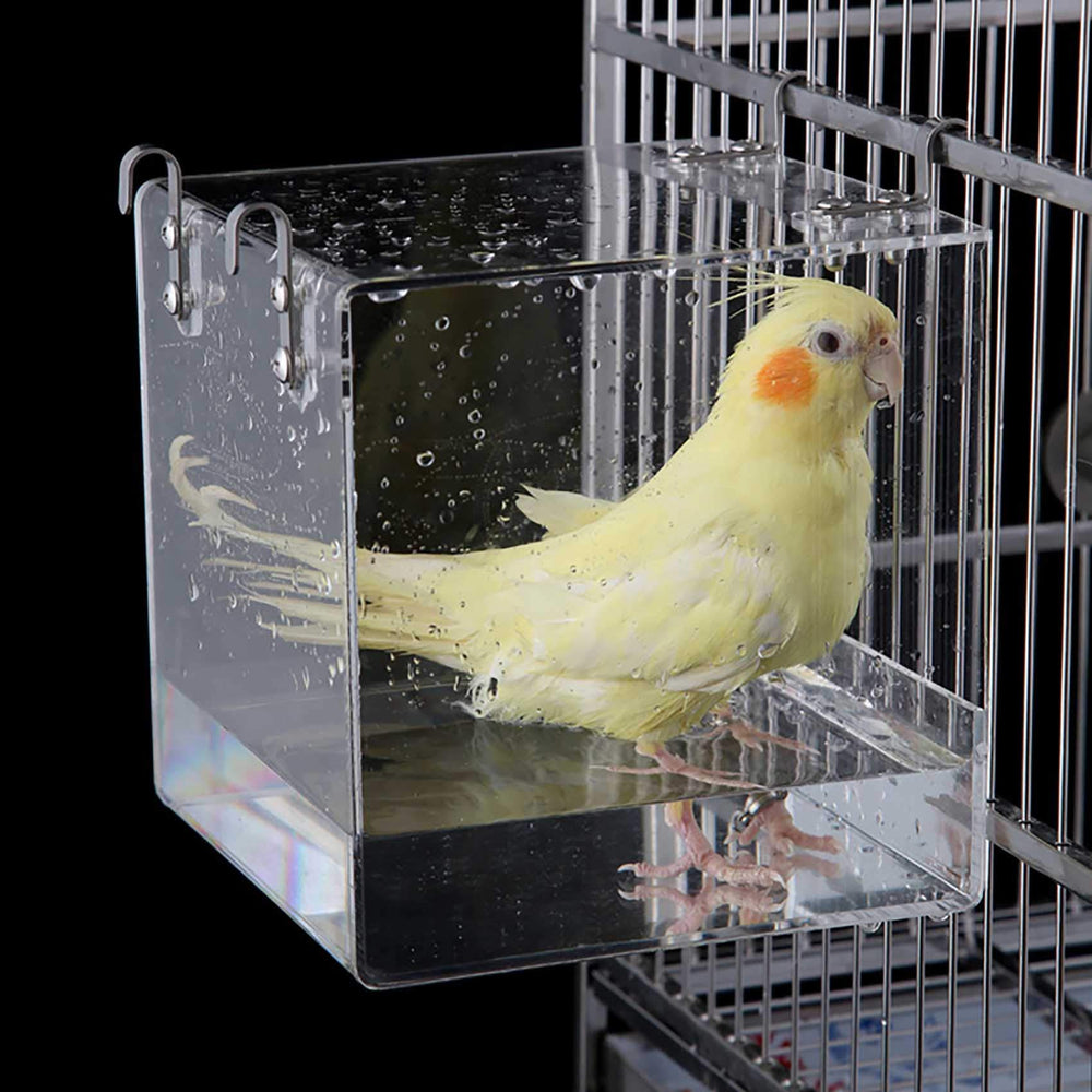 Suremita hanging bird bath cube side view showcases sturdy acrylic for durable indoor use.