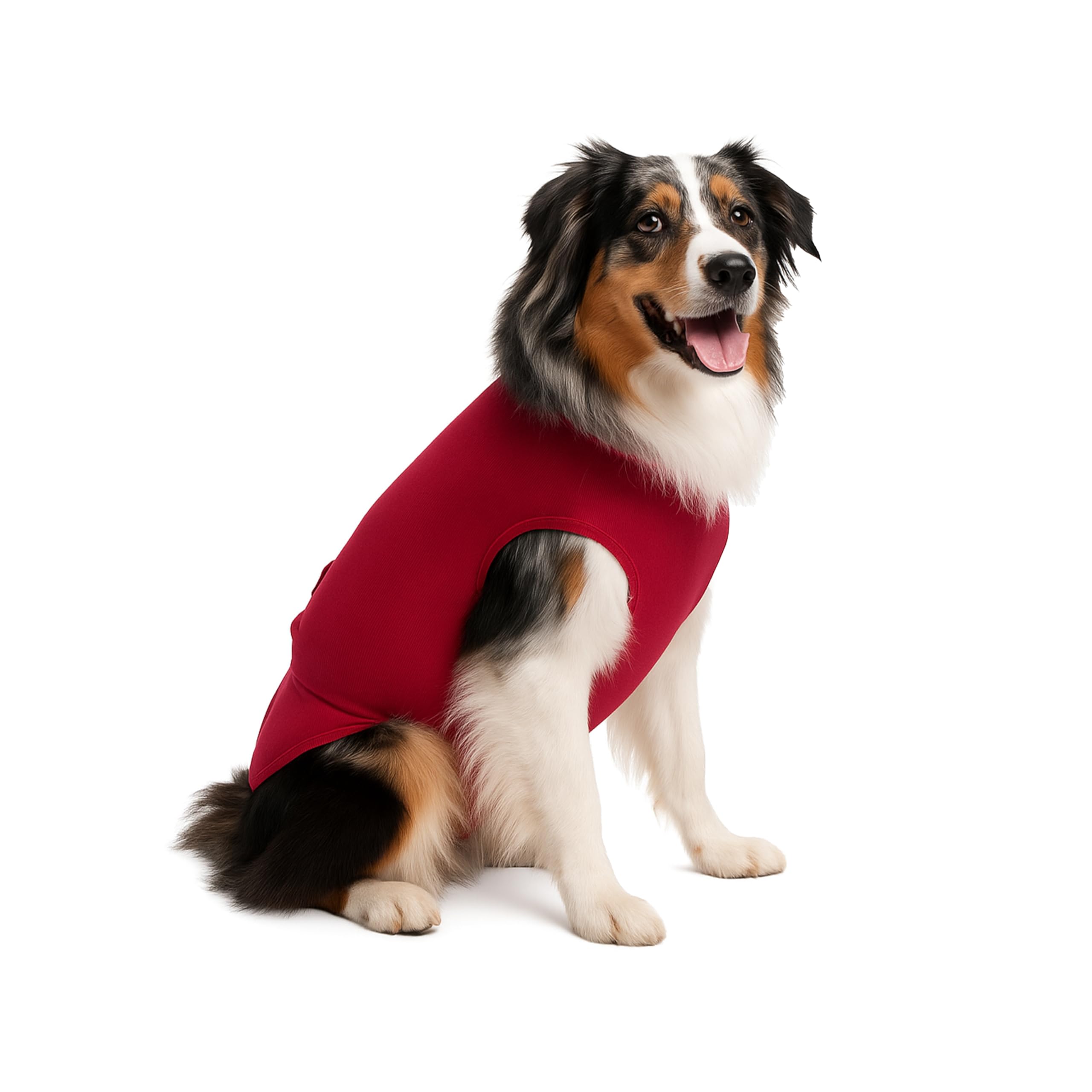 Surgi-Snuggly dog incontinence care setup reduces everyday mess and stress