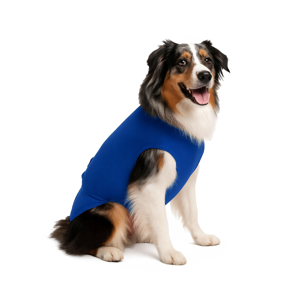 Surgi-Snuggly male-and-female design blue shows versatile fit for different dogs.