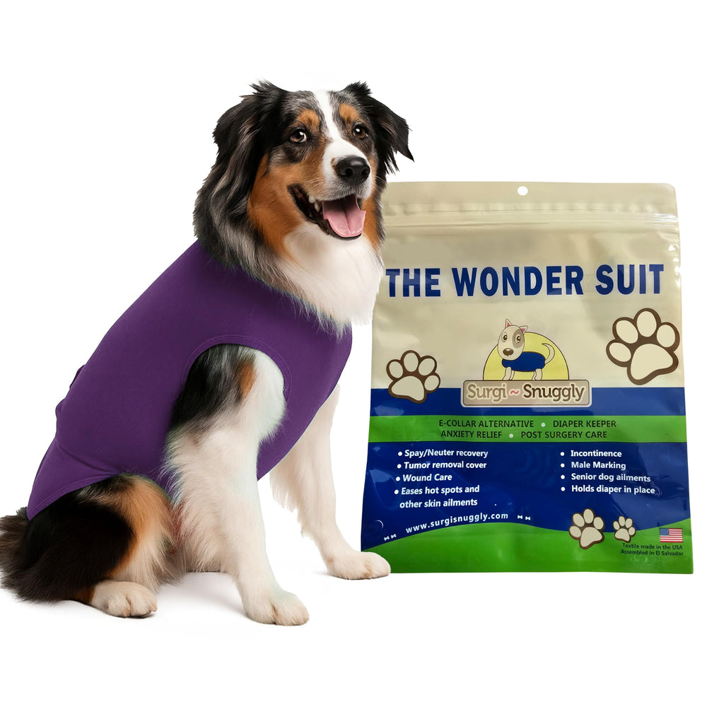 Surgi-Snuggly recovery suit open back keeps dogs comfortable during post-surgery recovery