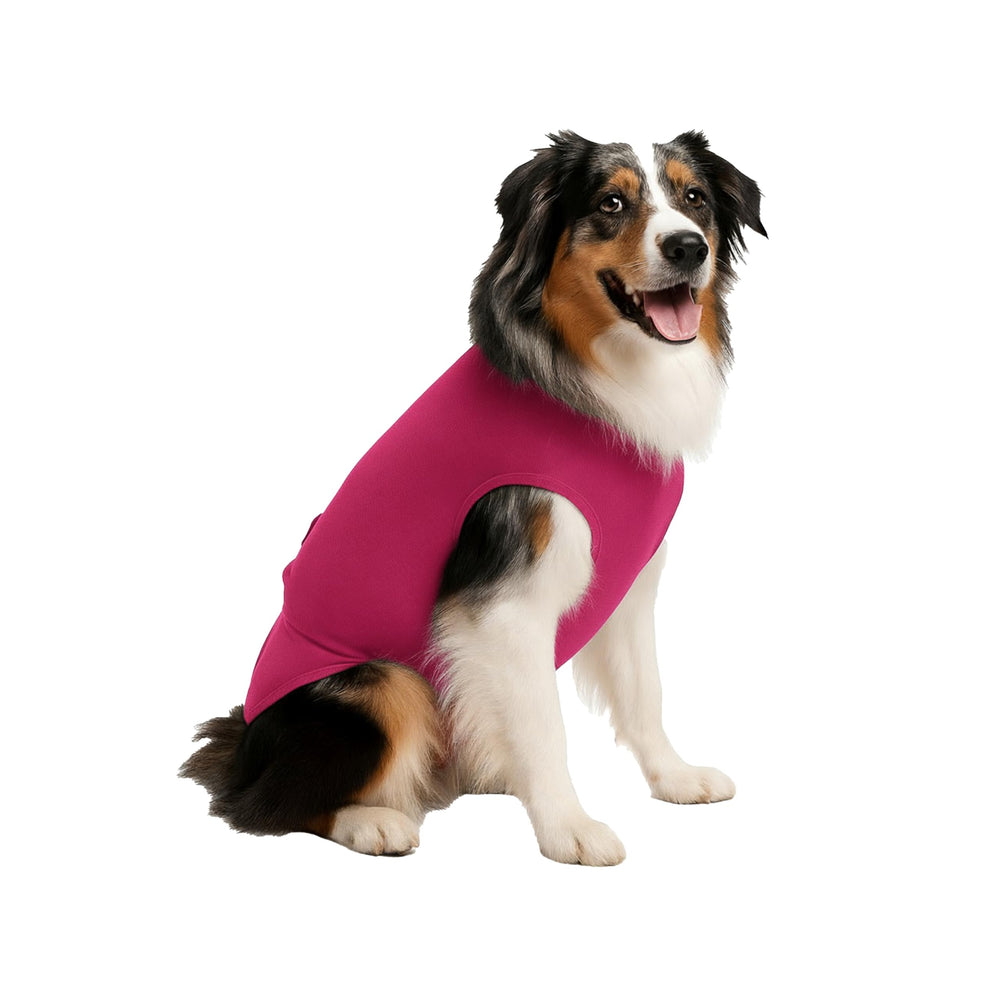 Surgi~Snuggly American brand origin 2008 highlighting quality pet products.