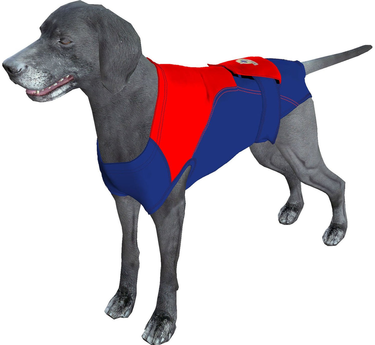 SurgiSnuggly back-closure-easy-on-off enables quick, comfortable post-surgery wear for dogs