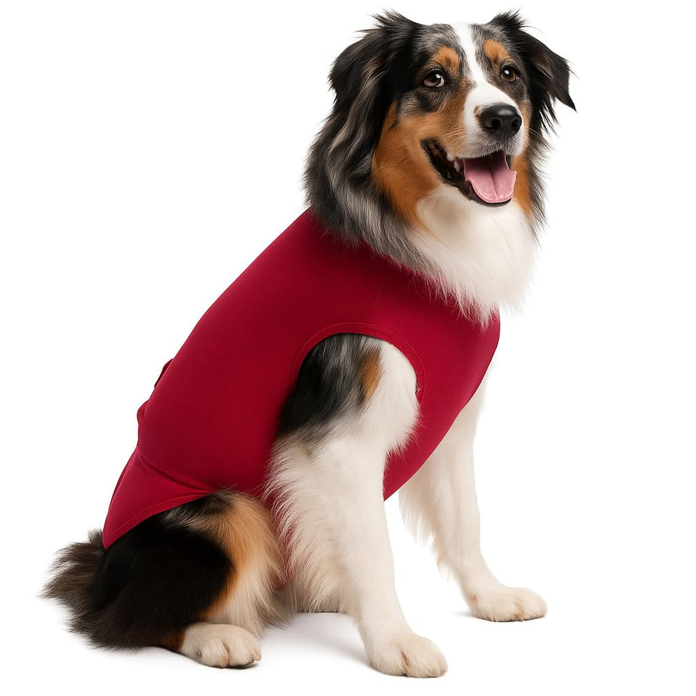 SurgiSnuggly dog in red recovery suit 2XL provides comfortable post-surgery coverage