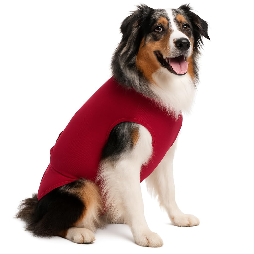 SurgiSnuggly dog in red recovery suit 2XL provides comfortable post-surgery coverage