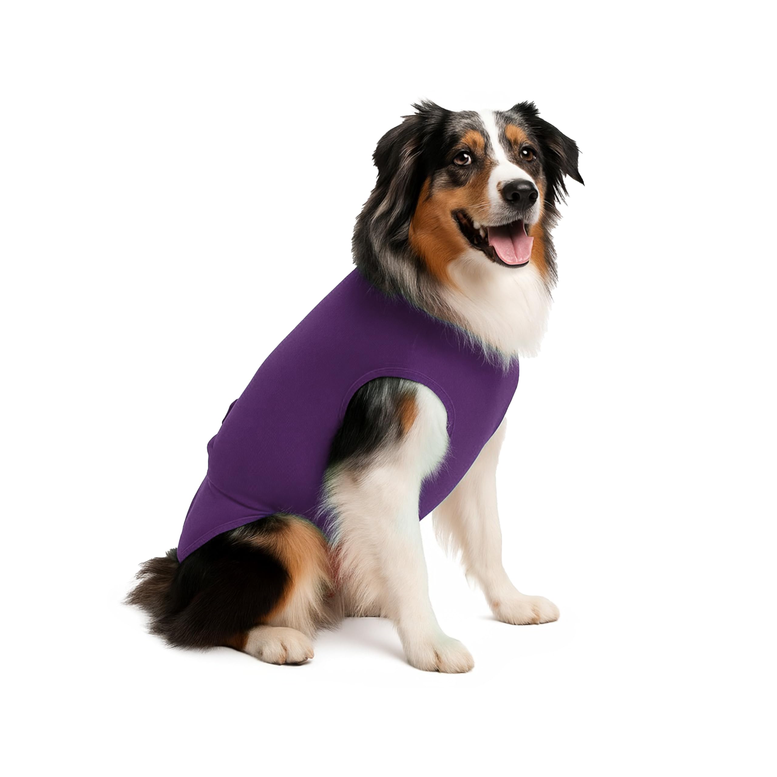 SurgiSnuggly vet-approved design reflects Dr. Paul Williams’ guidance for practical care.
