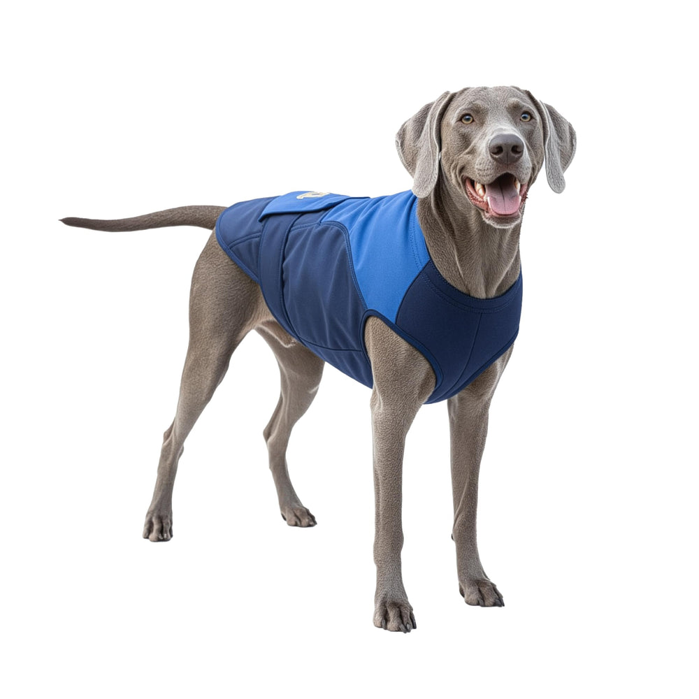 Surgi~Snuggly veterinary-approved design by Dr. Williams for trusted pet care.