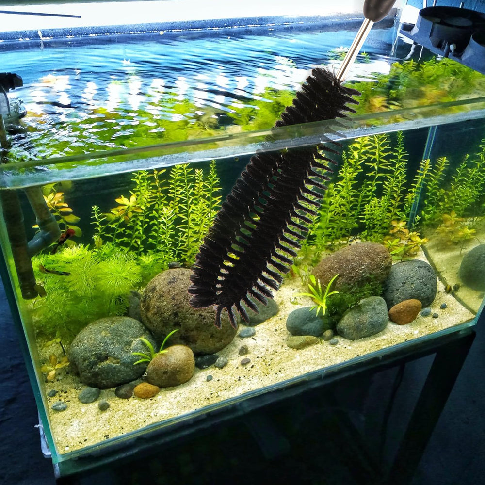 Suseg cleaning glass aquarium closeup demonstrates non-scratch, efficient glass tank cleaning.