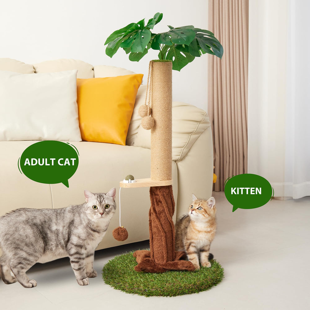 Suudroeen catnip balls attached attract lounging cats to move and play.