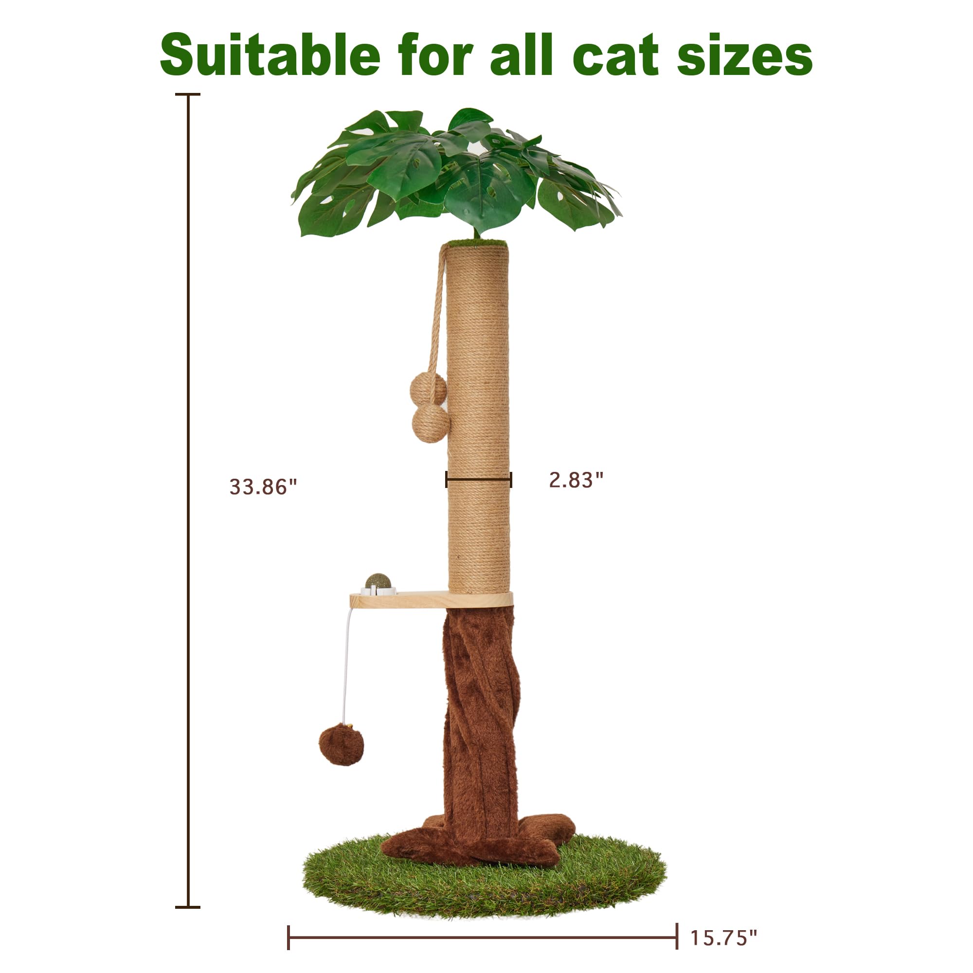 Suudroeen tropical-tree design scratcher enhances playtime and decor.