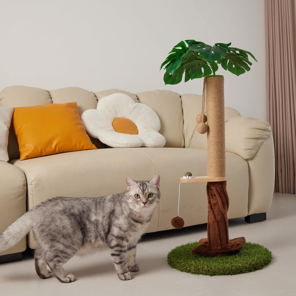 Suudroeen weighted base provides stability for indoor use.