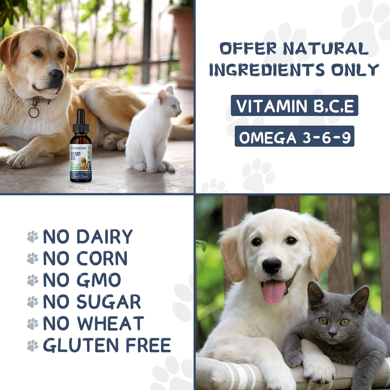 SUXHDRPURE hemp oil dogs and cats being served with meals