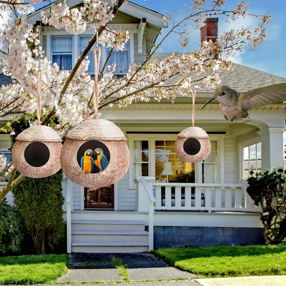 Suzile woven straw and polished shell create a cozy, secure bird home.