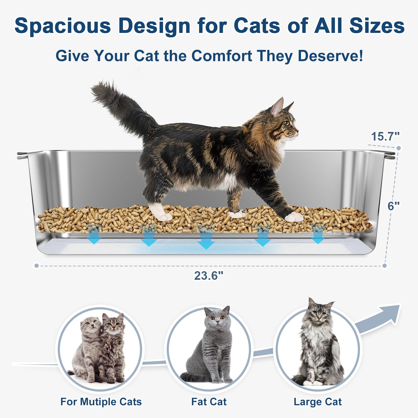 SuzziPaws XL size provides ample space for large cats and multi-cat homes