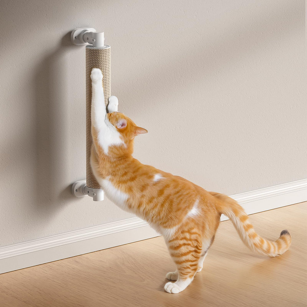 SVD.PET compact wall-mounted design saves floor space for small rooms.