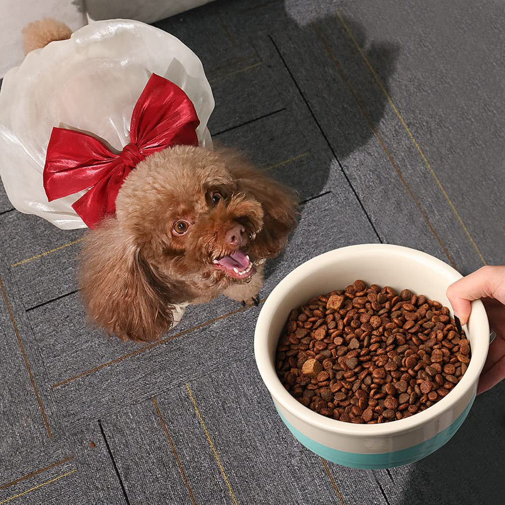 Sweejar colorful-design pet bowl adds cheerful appeal during mealtime.